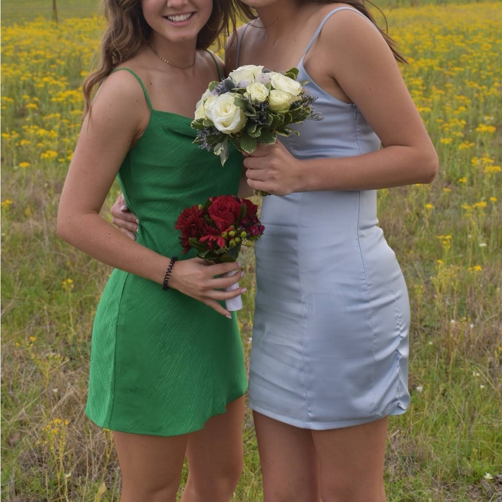 Revolve Slip Green dress
